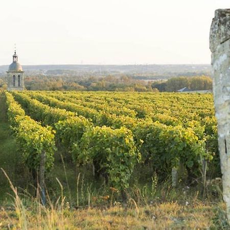 شقة مونتلويس سور لوار  في Studio Au Coeur Des Vignes المظهر الخارجي الصورة
