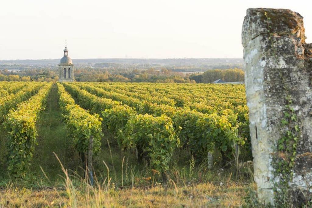 شقة مونتلويس سور لوار  في Studio Au Coeur Des Vignes المظهر الخارجي الصورة
